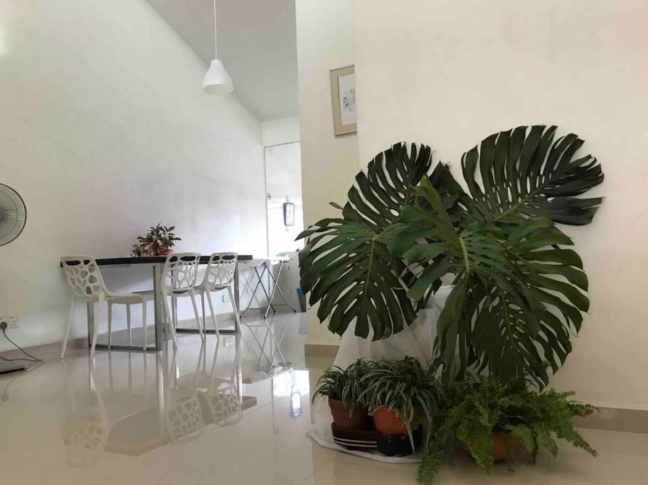 Terrace House Near Stulang Laut Ciq Midvalley Ksl For 7Pax Johor Bahru Ngoại thất bức ảnh