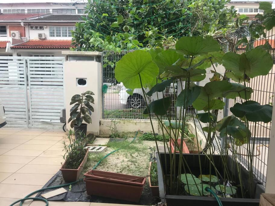 Terrace House Near Stulang Laut Ciq Midvalley Ksl For 7Pax Johor Bahru Ngoại thất bức ảnh
